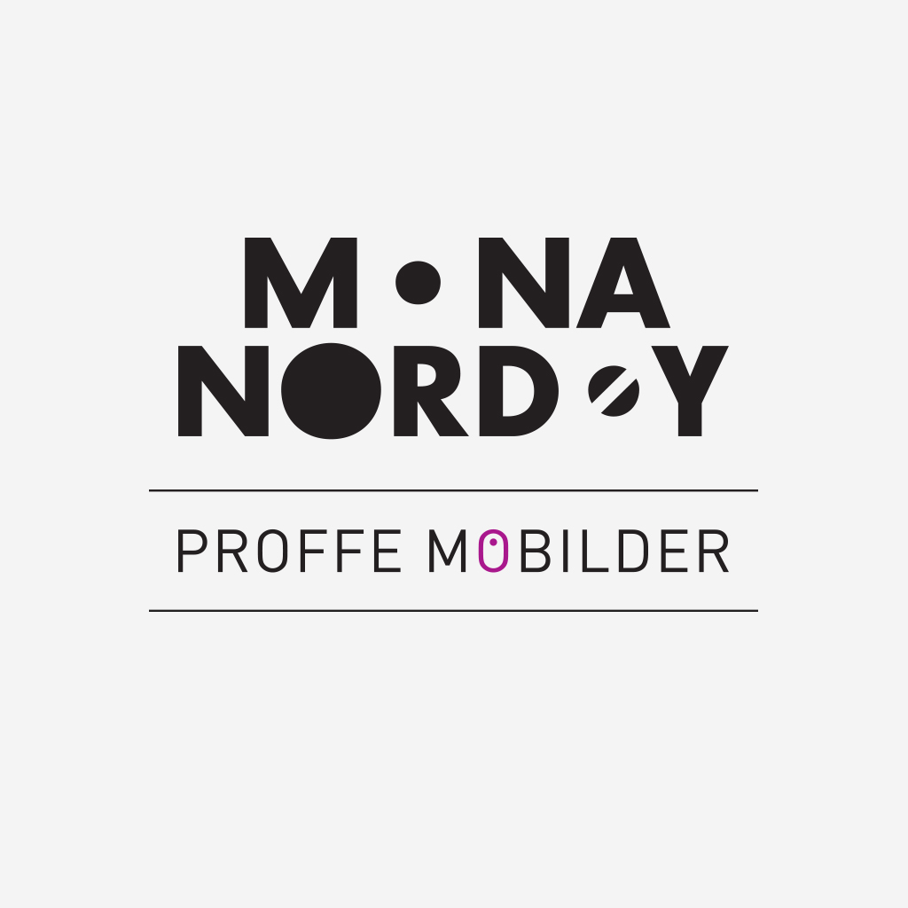 ProffeMobilder-logo-01